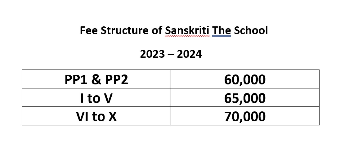 Sanskriti The School Fee Structure