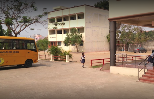 Bharati Vidyalaya Senior Secondary School