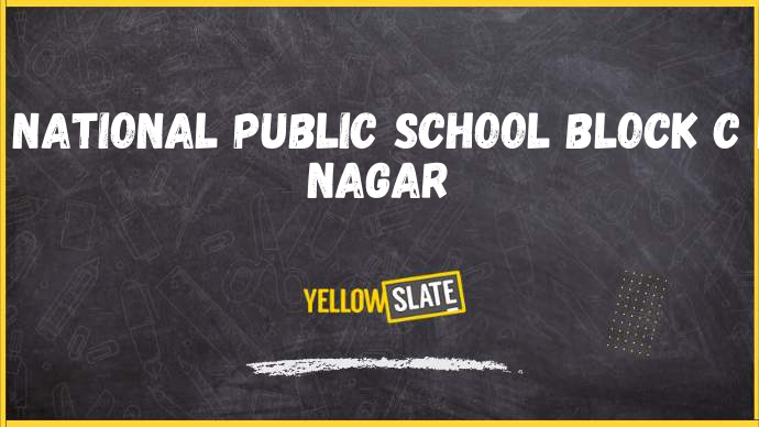 BHARAT NATIONAL PUBLIC SCHOOL delhi-Image