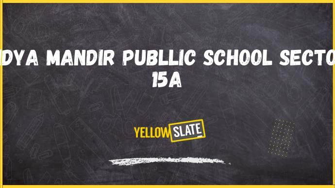 Vidya Mandir publlic School faridabad-Image