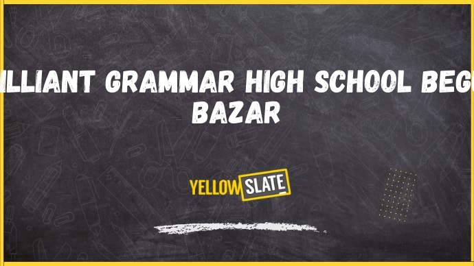 Brilliant Grammar High School hyderabad-Image