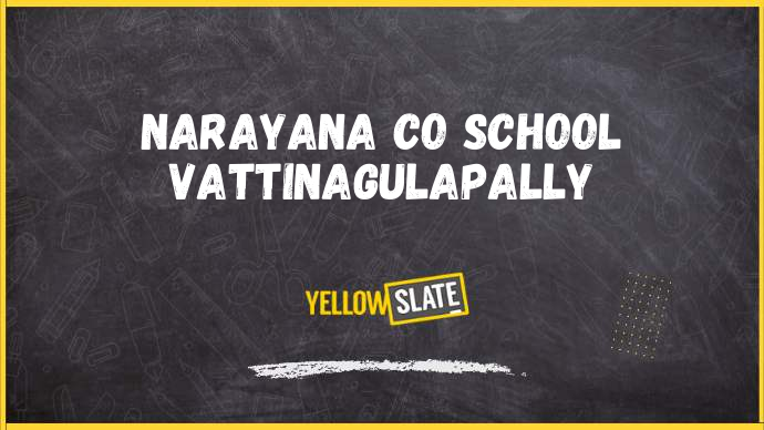 Narayana Co school,nallagandla-road-hyderabad-Image