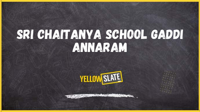 Sri Chaitanya school,sri-ramanapuram-colony-gaddi-annaram-hyderabad-Image